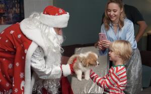 Какие фильмы посмотреть с детьми в ноябре 2025 года?