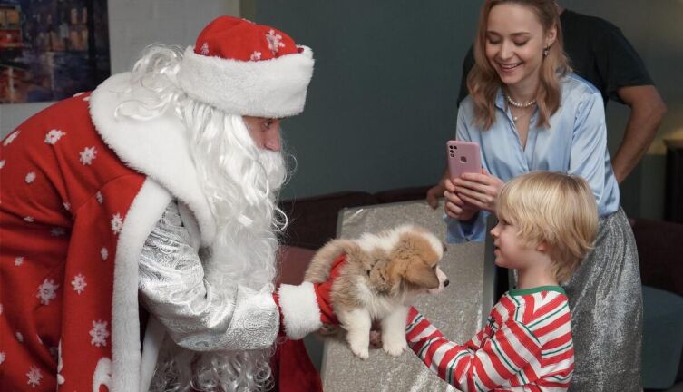 Какие фильмы посмотреть с детьми в ноябре 2025 года?