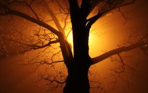 Когда уходит Даждьбог?