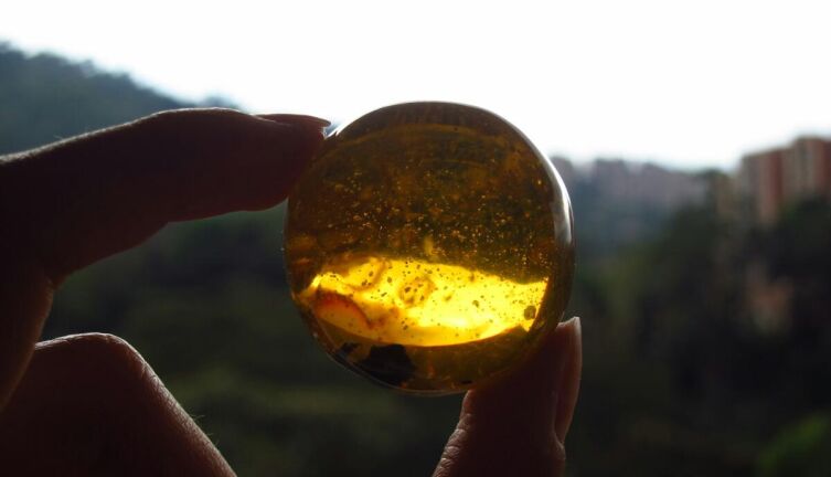 Калининград и солнечный камень. 1. Где находится столица мировой добычи янтаря?