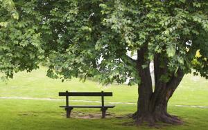 Калининград и
солнечный камень. 3. Чем интересен парк
имени Морица Беккера в поселке
Янтарный?