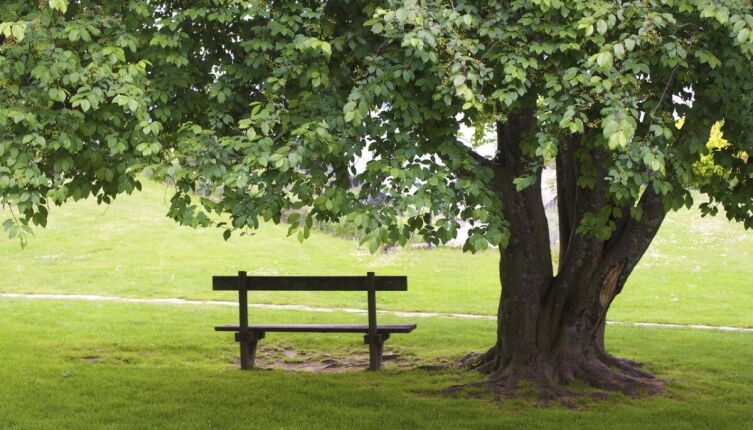 Калининград и солнечный камень. 3. Чем интересен парк имени Морица Беккера в поселке Янтарный?