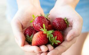 Как ухаживать
за клубникой поздней осенью?