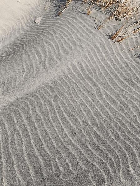 Пляж — не на Балтийской косе. У Северного входного мола. Но на косе — примерно такие же, песчаные