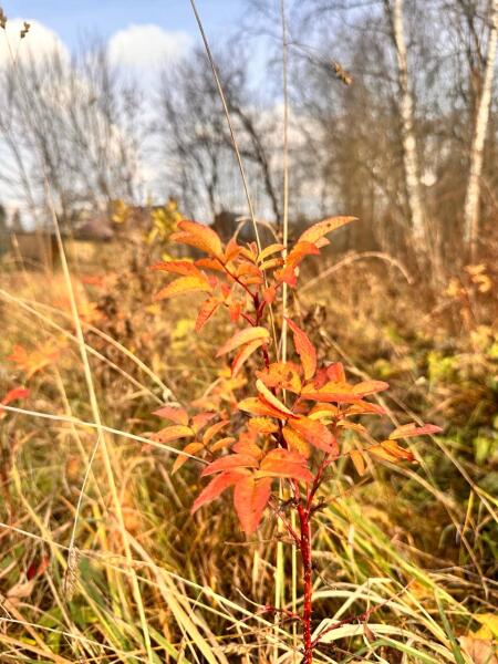 Зачем я каждый год ищу радугу в ноябре?