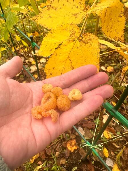 Зачем я каждый год ищу радугу в ноябре?