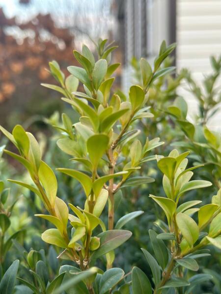 Зачем я каждый год ищу радугу в ноябре?