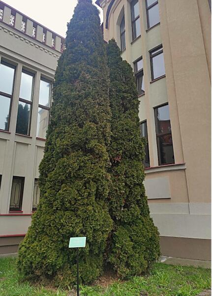 Историко-художественный музей. Рекомендую. Увлекательнейшее погружение в историю области, её природу, культуру