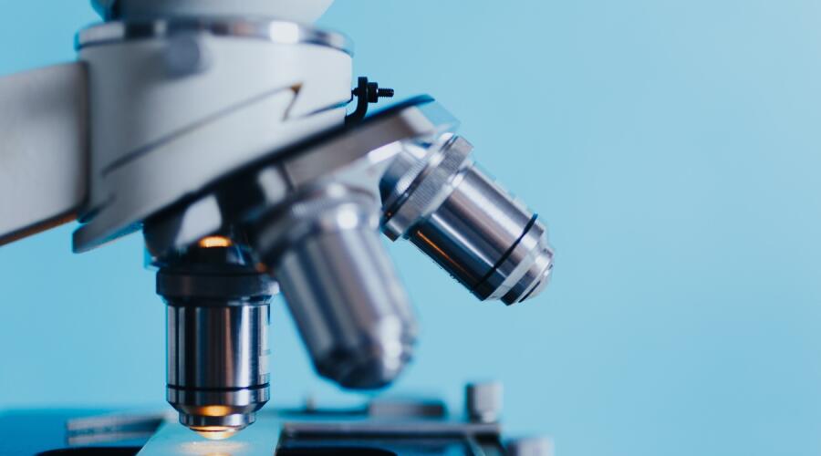 Российские предприниматели всё чаще инвестируют в биотехнологии