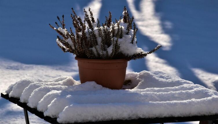 Дачные хлопоты. Снег как удобрение — миф или правда?