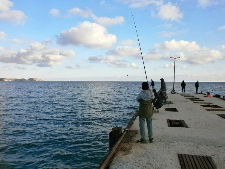 Массовая ловля чулары с пирса портопункта Коктебель