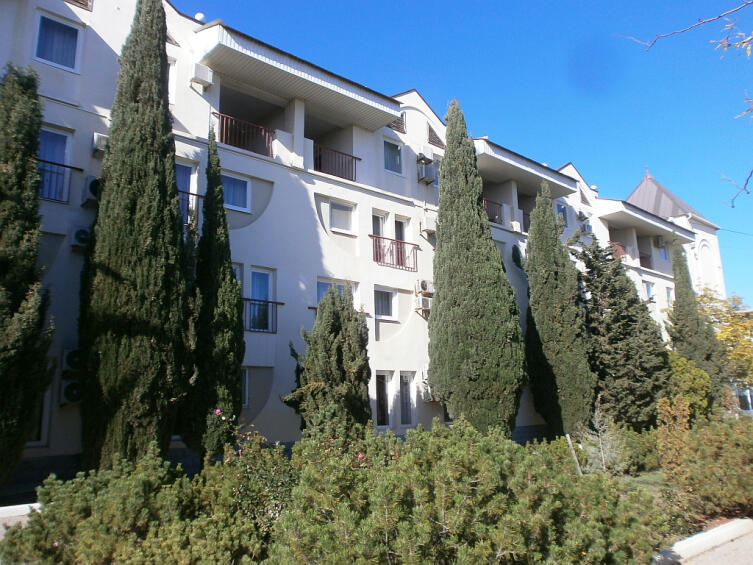 Летние виды