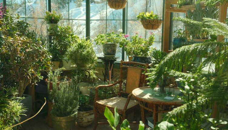 Как подобрать цветы для разного интерьера?