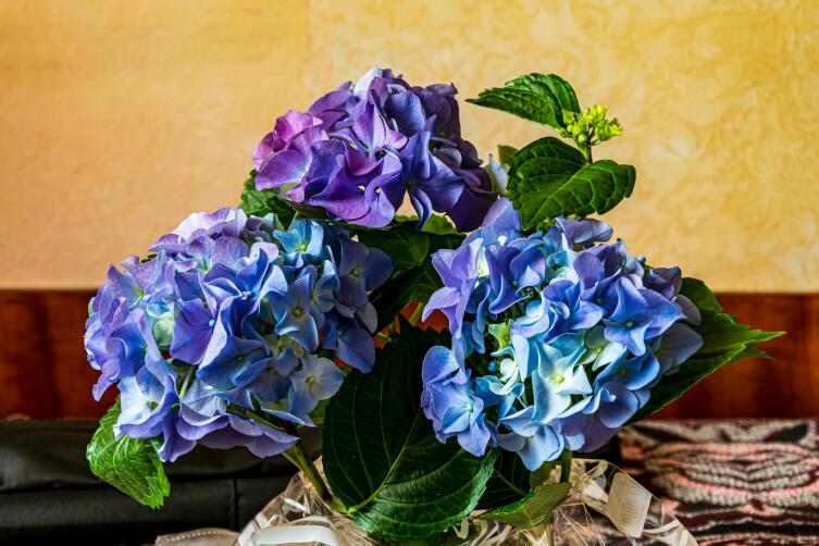 Как собрать шикарный букет недорого? Как собрать шикарный букет недорого?