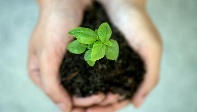 Можно ли повысить плодородность почвы?