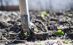 На заметку дачнику. Как быстро сделать компост?