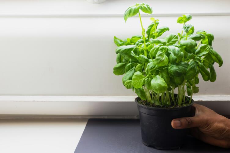 Что подарить на новоселье? Что подарить на новоселье?