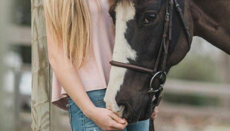 Лошадь и человек. Что важно знать современнику для ответственного обращения и заботы?