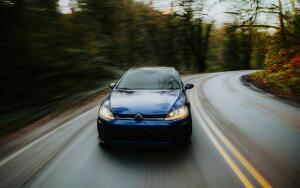 Водителю на заметку. Что делать, если сбил животное?