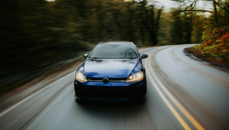 Водителю на заметку. Что делать, если сбил животное?