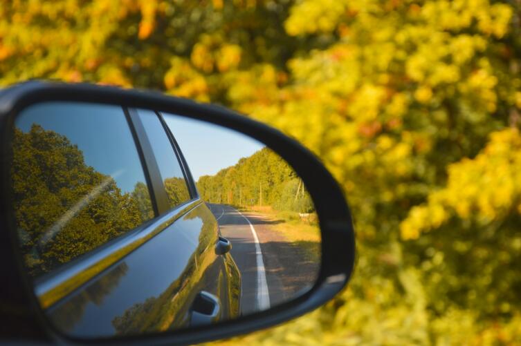 Водителю на заметку. Что делать, если сбил животное? Водителю на заметку. Что делать, если сбил животное?