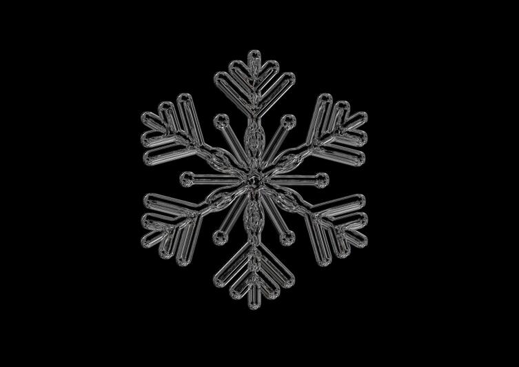 Чем могут удивить снежинки? Чем могут удивить снежинки?