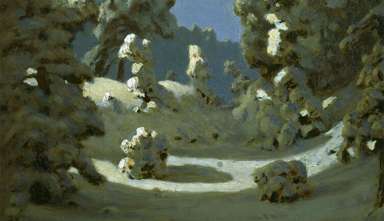 Как живут деревья под снегом?