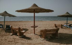 Отдых в Шарм-эль-Шейхе. Часть 2. Как организованы пляжи, дайвинг и питание?