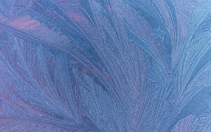 Иней. Как природа рисует зимние узоры?