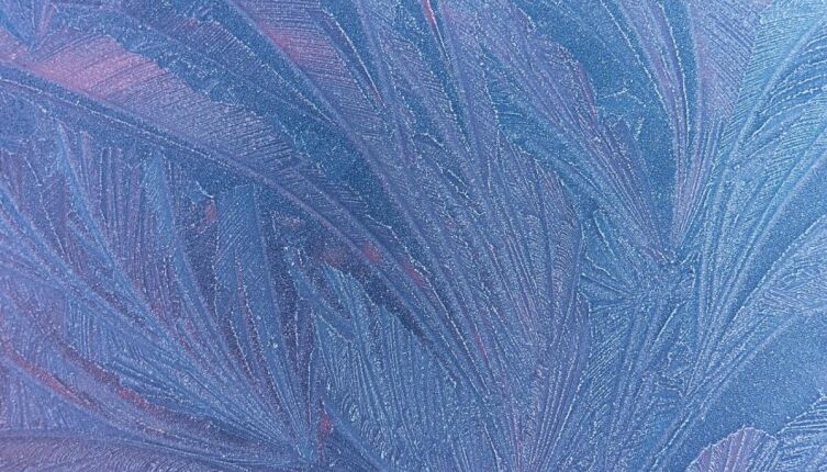 Иней. Как природа рисует зимние узоры?