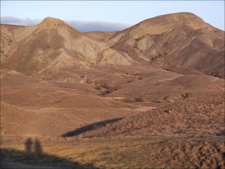 Типичный пейзаж