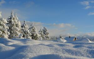 Что такое наст и каким он бывает?