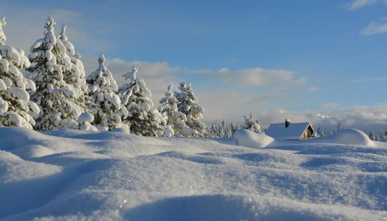 Что такое наст и каким он бывает?