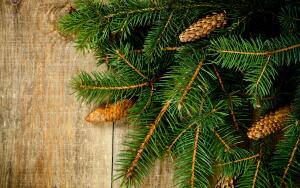 Главная дилемма декабря. Что нас объединяет?