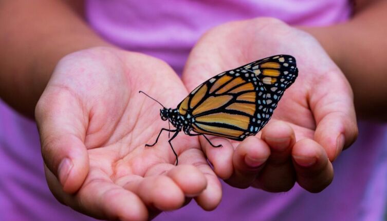 Отчего в животе бабочки летают? Новогодний тост