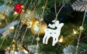 Троянский олень. Кто ворует семейный праздник?