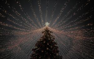 Икары на ёлке. Как поверить в чудо?