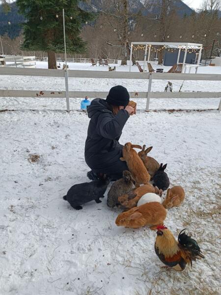 Отдых на Кавказе. Что можно посмотреть в Архызе зимой?