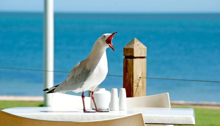 Дед Мороз и квартирный вопрос. Что кому подарить?