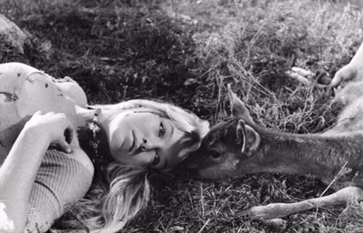 У Александра Куприна в&nbsp;«Олесе»: «Вы, господин, не обессудьте: совсем дурочка она у меня».