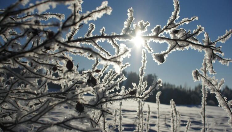 Изморозь: как и почему она появляется?