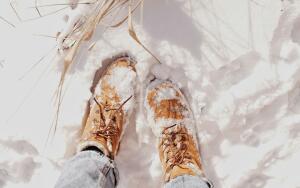 Скрип снега под ногами: откуда он берётся и почему пропадает?