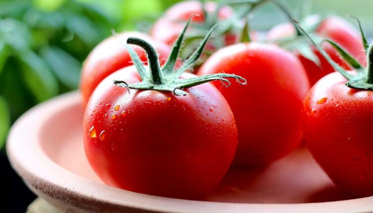 Любите солененькое? Ну, так солите и любите!