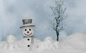 Совершенный  снеговик. Как слепить семейное  счастье?