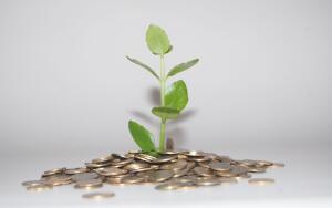 Почему кэшбек - самый выгодный способ экономии?