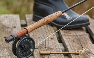 Жерех. Что это за рыба?