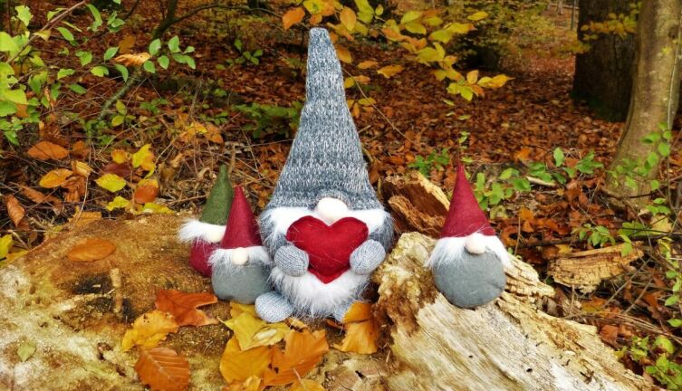 Кто такой домовой?