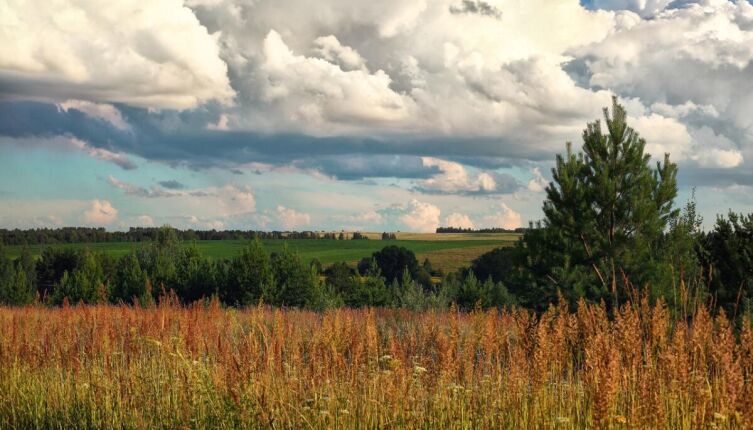 Как появилась республика Удмуртия?