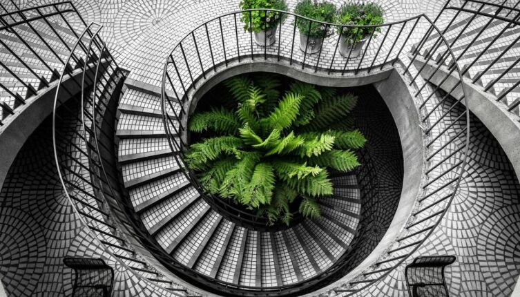 Лестницы: какими они бывают и для чего предназначены?