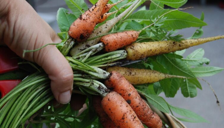 Что может ранить ребенка?